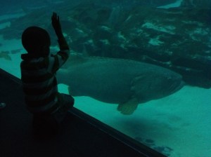 2013-02-10_11-37-36_939