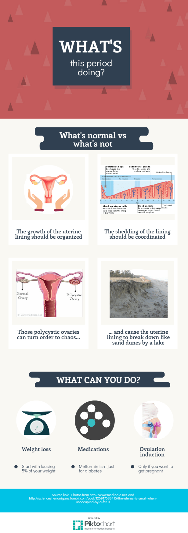 new-piktochart_896_0df22dd8126cfe7335ecad4d7416923cdab273f5