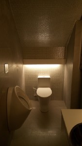 Constipation Toilets Around The World Small