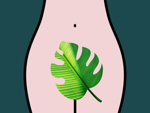 NaturalVag